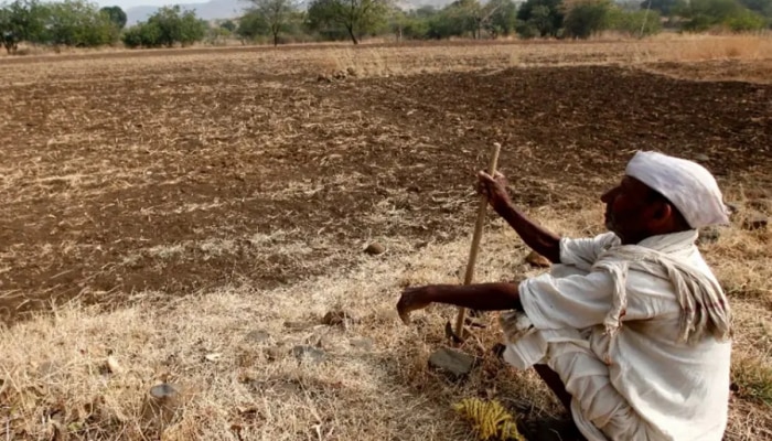 चार महिन्यात 267 शेतकऱ्यांनी संपवलं आयुष्य; चिंता वाढवणारी आकडेवारी समोर