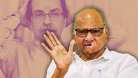 'उद्धव ठाकरेंच्या 'त्या' निर्णयाने माविआचा प्रयोग फसला', शरद पवारांचा गौप्यस्फोट
