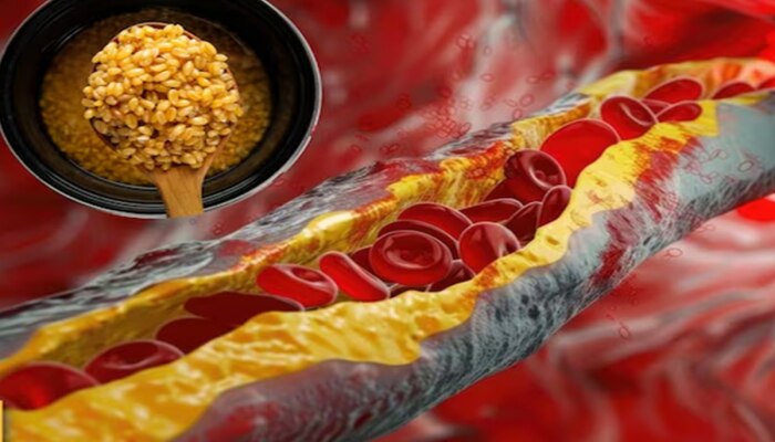 &#039;हे&#039; शक्तिशाली धान्य रोज उकळून खा! रक्तवाहिन्यांमधील Cholesterol घटवण्यास करेल मदत