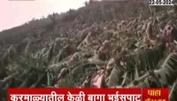 सोलापूरच्या करमाळ्याला वादळी वाऱ्यांचा फटका; केळी बागा भुईसपाट
