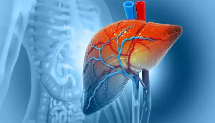 Viral Hepatitis: व्हायरल हिपॅटायटीस म्हणजे नेमकं काय? प्रतिबंध कसा करावा?