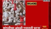 Heatwave | सांगलीत उष्माघातामुळे 1200 कोंबड्यांचा मृत्यू 