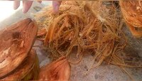 Coconut Husk Benefits: नारळाची सालही फायद्याची; फेकण्याआधी वाचा कसा करावा वापर