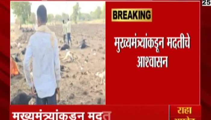 Hit Wave Sheep died due to heat stroke in Kakod in Jalgaon 