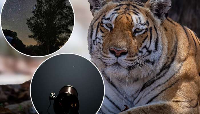 भारतातील पहिलं ‘डार्क स्काय पार्क’ महाराष्ट्रात, व्याघ्र प्रकल्पाला मिळाली नवी ओळख