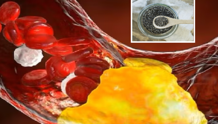 दररोज सकाळ - संध्याकाळी खा 'या' काळ्या बिया, नसांमधील Bad Cholesterol कमी होऊन Good Cholesterol वाढण्यास होईल मदत