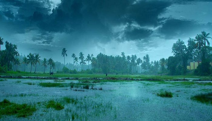 Monsoon In India: 'रेमल' चक्रीवादळामुळं मान्सून...; कुठवर पोहोचले मोसमी वारे? IMD कडून महत्त्वाचे Updates