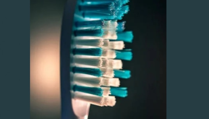 How often should toothbrushes be replaced Oral Health Marathi News
