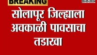 Solapur | 15 दिवसात 5 हेक्टर पीक क्षेत्र बाधित 