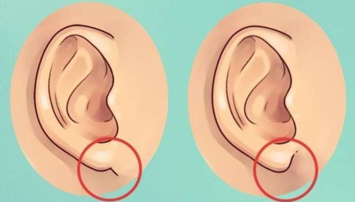 Earlobes Hidden Personality Traits : कानाच्या पाळीनं ओळखा लोकांचं व्यक्तीमत्त्व!