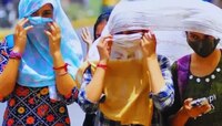 मनुष्य 50 अंश सेल्सिअसपर्यंत तापमान सहन करु शकतो का? उष्माघाताने मृत्यू कसा होतो?