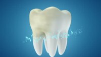 Tooth Regrowing Drug चे सप्टेंबरमध्ये होणार पहिले ह्यमुन ट्रायल, कसा होणार फायदा 