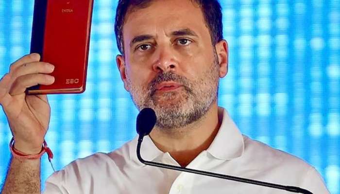 रायबरेली की वायनाड? राहुल गांधी कोणता मतदारसंघ सोडणार? म्हणाले... 