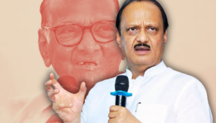 'कुठलंच अपयश अंतिम नसतं...', निवडणूक निकालानंतर अजित पवारांचं कार्यकर्त्यांना आवाहन, म्हणाले...