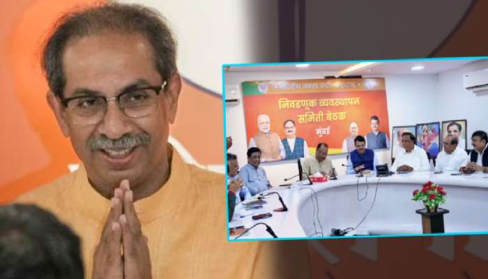 'मविआ'ने 31 जागा जिंकल्या! BJP नेता घेणार राजकीय संन्यास? म्हणालेला, 'ठाकरे तुम्ही मर्दांचा..'