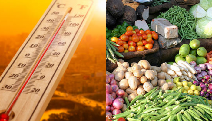 Food Inflation: मटण थाळी स्वस्त, शाकाहार महागला; मे महिन्यात अशी वाढली महागाई