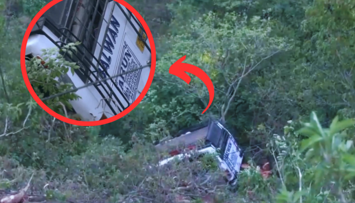 Reasi Bus Accident CCTV Video : लाल मफलर गुंडाळून दहशतवादी आले आणि...; बस हल्ल्यातील प्रत्यक्षदर्शींकडून धडकी भरवणारं वर्णन 