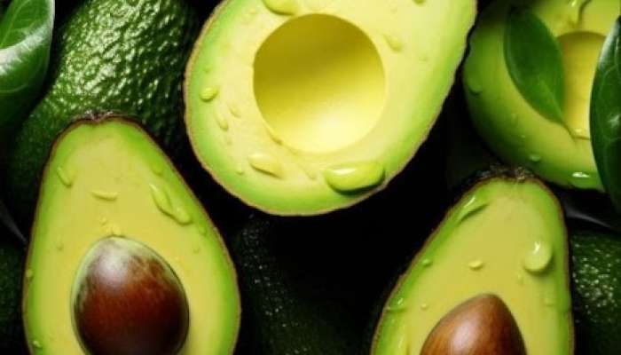 Amazing Health Benefits of Eating Avocado Everything You Need to Know 