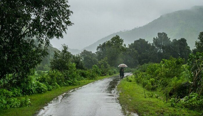 Maharashtra Weather News : &#039;या&#039; भागांमध्ये मंदावला मान्सून; &#039;इथं&#039; मात्र जोरदार हजेरी, राज्यातील पर्जन्यमानाचं सविस्तर वृत्त 