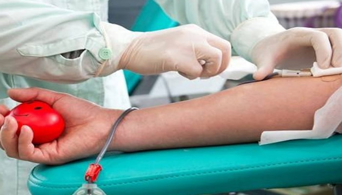 World Blood Donor Day 2024 : एका वर्षात किती वेळा रक्तदान करू शकतो? 