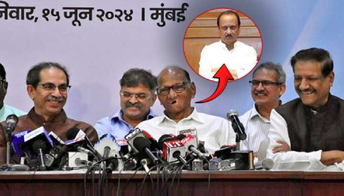 अजित पवारांना पक्षात परत घेणार का? शरद पवारांचं मोजून 4 शब्दात उत्तर; म्हणाले, 'सवालही..'