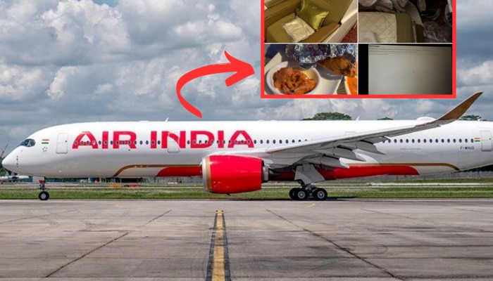 Air India च्या प्रवाशाची  &#039;हॉरर स्टोरी&#039;; 500000 रुपयांच्या तिकिटावर मिळाली घाणेरडी सीट, अर्धवट शिजलेलं जेवण आणि...