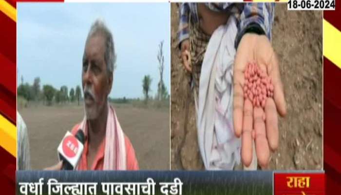 Wardha Ground report farmers are waiting for heavy rains for farming 
