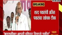सुनेत्रा पवारांचा पराभव झाल्यानंतर शरद पवारांचा टोला