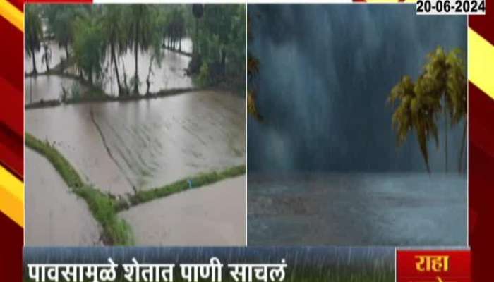 Heavy rains in Palghar district, fields got waterlogged due to rains