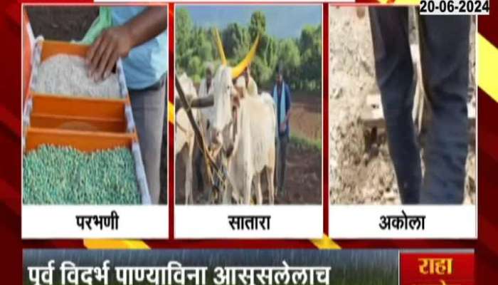 Maharashtra State 12 percent Sowing Harvesting Process