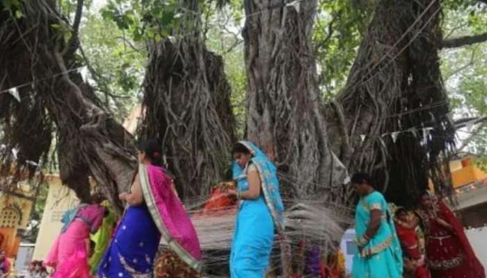 वटसावित्रीच्या पूजेला &#039;हा&#039; श्लोक नक्की म्हणा  