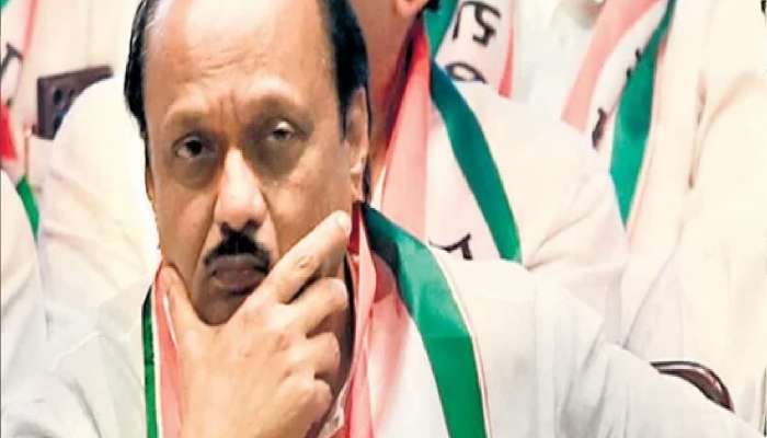 महायुतीत महाभारत! 'लोकसभेत तुमचा लंगोट मी वाचवला' शिवसेना नेत्याचा राष्ट्रवादीवर निशाणा