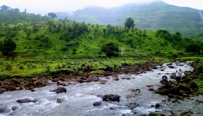 हरवलेला मान्सून पुन्हा कधी सक्रिय होणार? हवामान विभागाने दिली महत्त्वाची माहिती