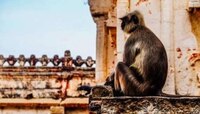 रामायणातील 'किष्किन्धानगरी'चा दक्षिण भारताशी आहे जवळचा संबंध 