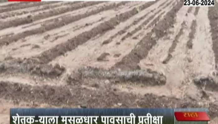 Solapur Farmer Completed Perni And Awaits For Good Rainfall