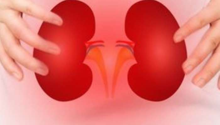 'These' 9 symptoms appear in the body if there is a kidney problem