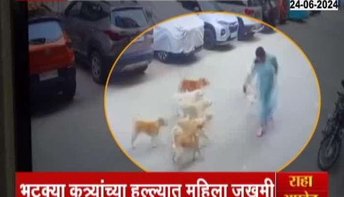 Hyderabad Dogs Attacked Women Out For Morning Walk