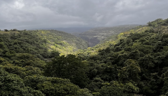 Maharashtra Weather News : कोकणापासून साताऱ्यापर्यंत काळ्या ढगांची दाटी; पण, पाऊस कुठंय? हवामान विभाग म्हणतो....