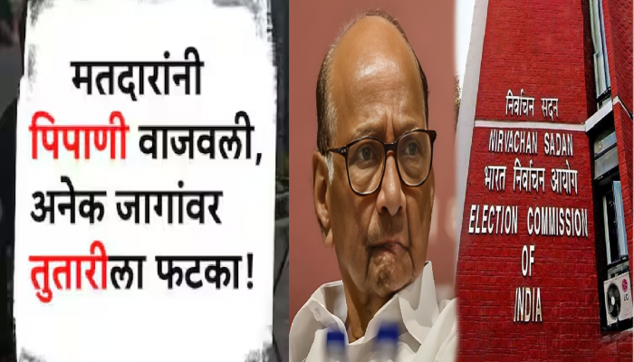 महाराष्ट्रात लोकसभेत 'पिपाणी'मुळे 'तुतारी'चा खेळ बिघडला? विधानसभेसाठी शरद पवारांनी 'हे' चिन्ह...