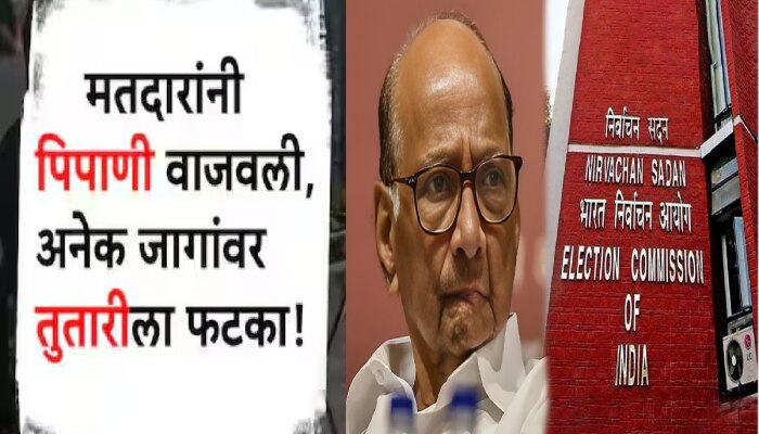 महाराष्ट्रात लोकसभेत &#039;पिपाणी&#039;मुळे &#039;तुतारी&#039;चा खेळ बिघडला? विधानसभेसाठी शरद पवारांनी &#039;हे&#039; चिन्ह...