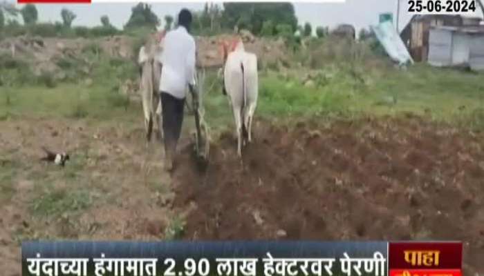 Solapur Ground Report Farmers Busy Sowing After Suitable Condition