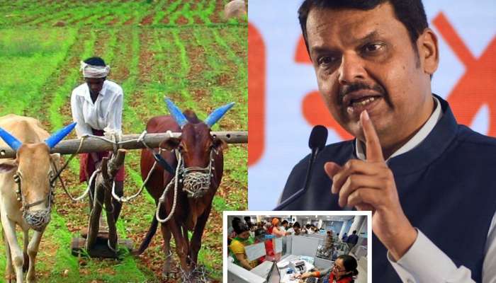 जर तुम्ही शेतकऱ्यांकडे CIBIL मागितला तर FIR दाखल करणार; देवेंद्र फडणवीसांचा बँकांना इशारा, 'नंतर आम्हाला...'