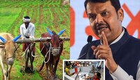 जर तुम्ही शेतकऱ्यांकडे CIBIL मागितला तर FIR दाखल करणार; फडणवीसांचा बँकांना तंबी