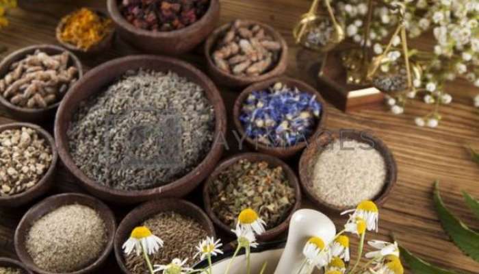 Monsoon Immunity Booster Herbs