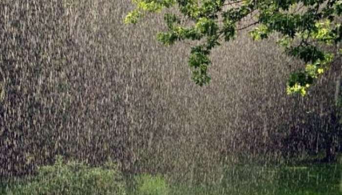 How to get rid of fungus in monsoon