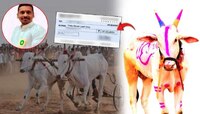 37 लाखांचा बैल, रात्रीची भेट, बळजबरी अन् एकाचा मृत्यू.. बारामती हादरली