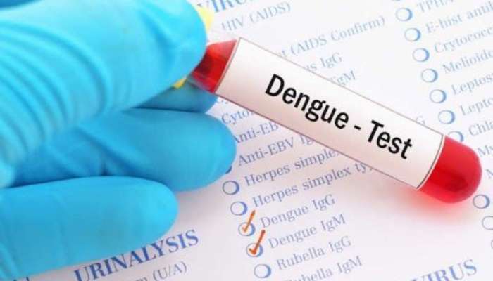 डेंग्यूमुळं प्लेटलेट्स कमी झाल्यात? काय खावं व काय टाळावं? वाचा 
