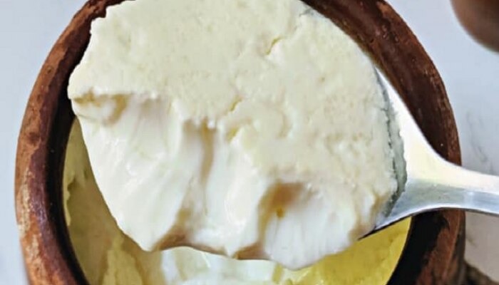 eating curd after milk is healthy or not, can we have milk or curd after eating non-veg, health benefits of curd, milk or curd which is more healthy, BENEFITS OF EATING CURD, milk healthy or not