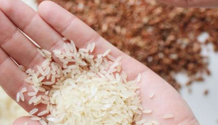 भात खाल्ल्याने खरंच वजन वाढतं का?