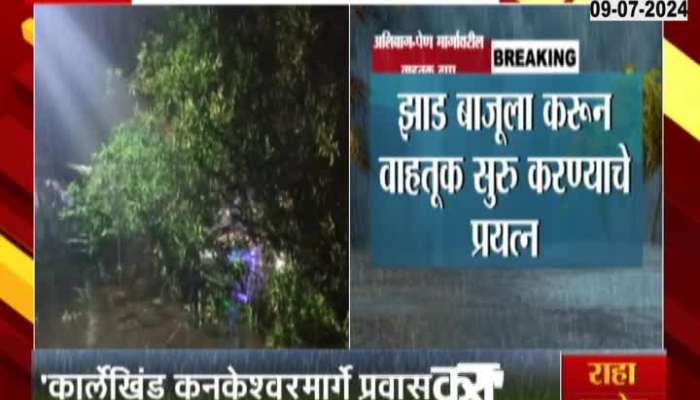 monsoon alert Konkan Alibag Pen Traffic Jam For Huge Tree Falls On Road